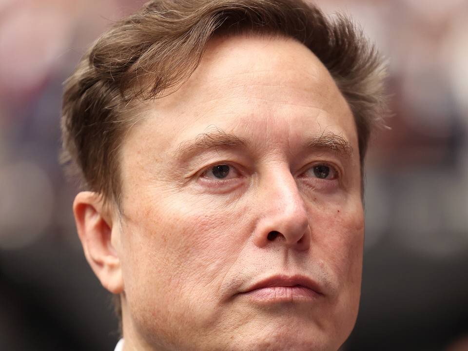 Portrait Elon Musk